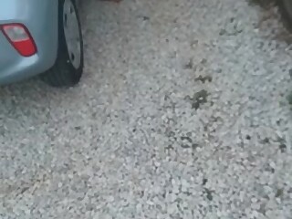 70-jährige Frauen zu ficken ist nicht so eklig, ich liebe Frauen, die älter sind!